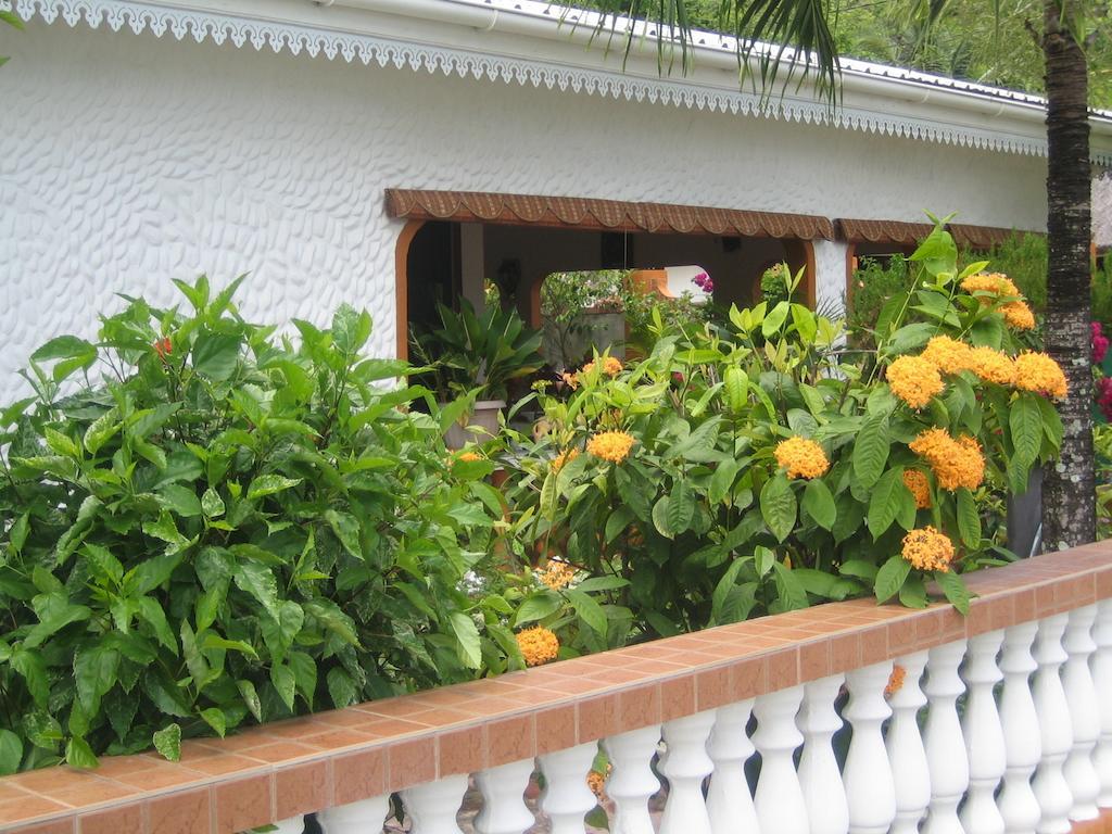 Villa Milou Baie Sainte Anne Room photo